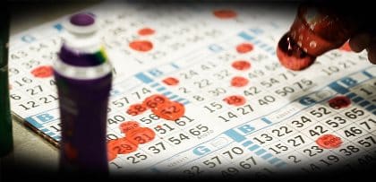 Play Bingo online for free