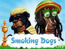 Smoking Dog Slot