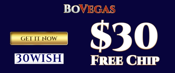 Free $30 Bovegas Casino