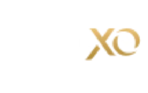 RollXO Casino logo